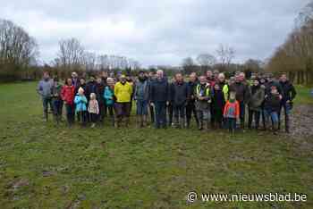Grote bosplantactie in Koudenbergbeekvallei - Het Nieuwsblad
