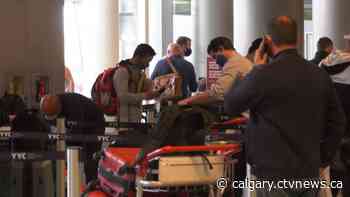 Calgary airport hosts busiest travel day since start of pandemic - CTV News Calgary