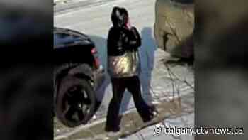 Calgary seniors conned in grandchild in peril scam, suspect collects cash in person - CTV News Calgary