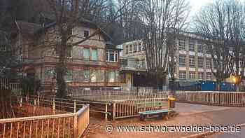 Wirtschaft in Schramberg - Firma Melvin kauft ehemaligen Pappendeckel-Maier - Schwarzwälder Bote