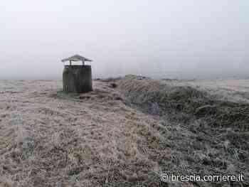 Quei camini nel campo dove l’erba è «bruciata»: al via i controlli di Arpa - Corriere della Sera