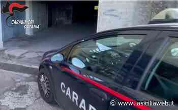 Catania, beccati i due fratelli "in erba" - lasiciliaweb | Notizie di Sicilia