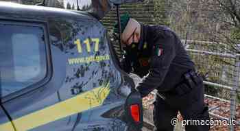 Lavoratori in nero a Erba, Albavilla e Guanzate: 700 controlli green pass nei locali comaschi - Prima Como
