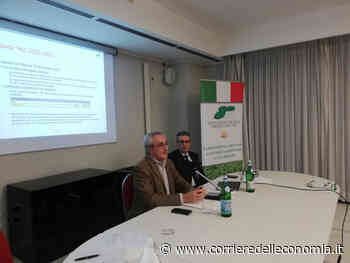 Erba medica: Aife, incontro a Rimini dopo due anni di pandemia - Corriere dell'Economia