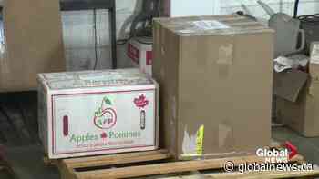 Edmonton freight company takes on role of Santa for families in the Yukon and Alberta - Globalnews.ca