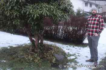 Mission man angered after receiving $6000 water bill from city – Chilliwack Progress - Chilliwack Progress