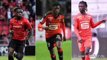 Das Anti-Hollywood: Wie Stade Rennes zu Europas Talentschmiede wurde - kicker