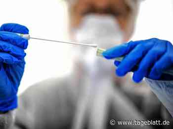 Falscher Wert: Inzidenz für den Landkreis deutlich zu niedrig - Landkreis Stade - Tageblatt-online