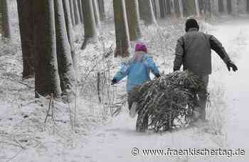 Kronach: Gerda Redwitz und ihr Mann Gerhard erinnern sich an Weihnachten damals und heute - Fränkischer Tag