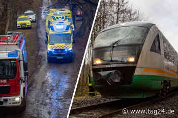 Zug-Unfall zwischen Dresden und Zittau: Trilex kracht in Baum! - TAG24