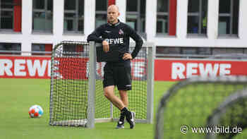 Von Dresden in die Bundesliga: Wagners Weihnachts-Märchen - BILD