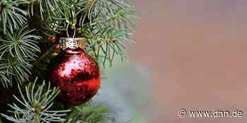 Fotos: Weihnachtsbäume in den Wohnzimmern von Dresden - Dresdner Neueste Nachrichten