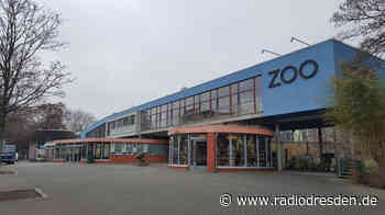 Weihnachtliche Stimmung im Dresdner Zoo - Radio Dresden