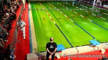 Natation : le meeting Landron d'Arras amène la plage à la piscine - La Voix du Nord