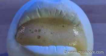 Bros’: il piatto della discordia diventa un’opera d’arte digitale - dissapore