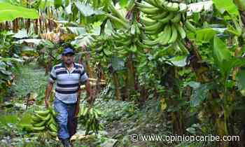 ProSantaMartaVital presenta entregó informe de Calidad de Vida de Zona Bananera Cómo Vamos - Opinion Caribe