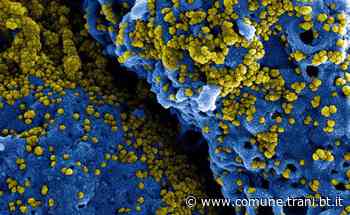 DECRETO FESTIVITÀ, LE NUOVE MISURE DI CONTENIMENTO DEL COVID - Città di Trani