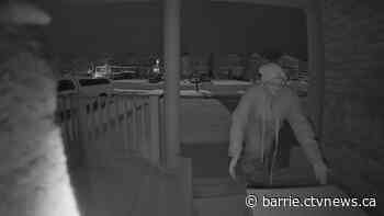 Woman walking dog takes Amazon packages from porch in Alliston - CTV News Barrie