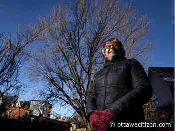 Egan: Tallying the trees — urban forest volunteers branch out across city