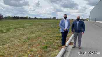 Veiling BelOrta investeert 18 miljoen in nieuwe fruitloodsen in Borgloon - Het Belang van Limburg