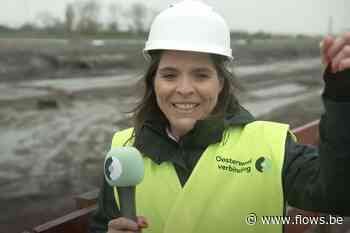 Telex: Oosterweel, binnenvaartfusie, Brussel, scheepsbotsing en ONE - Flows