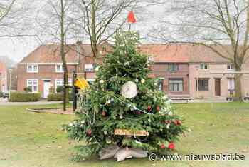 Achturenplein heeft mooiste kerstboom