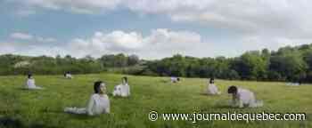 Corée du Sud : une publicité où les femmes sont transformées en vaches fait polémique