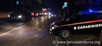 Artena, investita ragazza di Valmontone. A Colleferro ennesimo incidente da cinghiale - La Nuova Tribuna