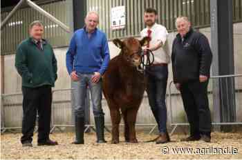 Irish Angus Elite Sale sees heifer hit top price of €13,200 - Agriland.ie