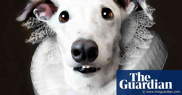 Ruff sketch: animal portraits in the style of old masters – in pictures