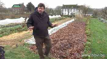 Wim Lybaert schrijft in kasteel van Heks boek over moestuinen - Het Belang van Limburg