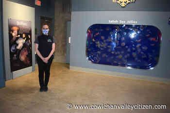 'Gentle, but constantly positive' growth forecast for Sidney's Shaw Centre for Salish Sea – Cowichan Valley Citizen - Cowichan Valley Citizen