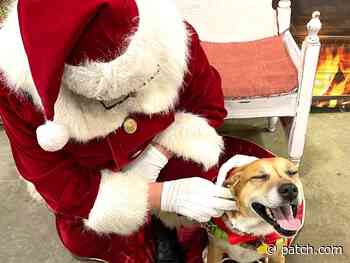 Woodstock Holiday Pet Pics: Kamryn, Gary, Sidney, Andy, Emmie - Patch.com