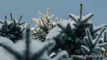 Ottawa weather: Special weather statement calls for 'wintry mix' starting Christmas Eve - CTV Edmonton