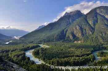 Grizzly bear habitat gifted by BC couple to preserve land - Dawson Creek Mirror