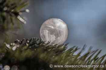 Extremely cold wind chill weekend expected for South Peace - Dawson Creek Mirror