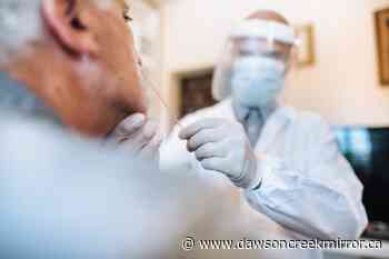 Why does Omicron reporting take longer in B.C.? - Dawson Creek Mirror