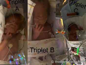 Sask. family welcomes triplets on Christmas Eve