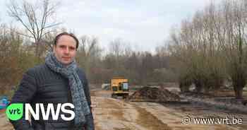 Wemmel zoekt schapen om nieuw bufferbekken te onderhouden - VRT NWS