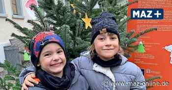 Weihnachtsflair in Bad Belzig: Tannenbäume gekürt - Märkische Allgemeine Zeitung