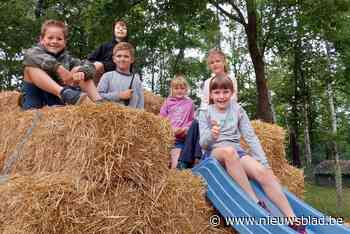 Kinderen leven zich uit in De Pretkomeet (Lille) - nieuwsblad.be