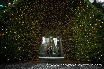 Merry Christmas or Happy Holidays? What about eggnog – yay or nay? - Comox Valley Record