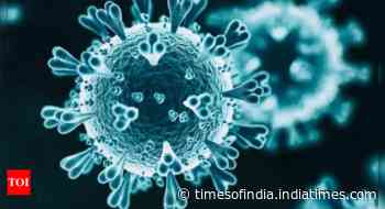 Why an Omicron wave may not be as severe as Delta - Times of India