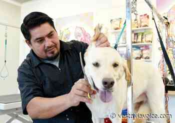 Former Pet Vet owner to open new grooming, medical facility - Vestavia Voice