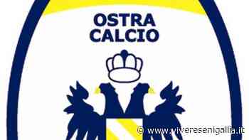 Calcio: 3 positivi nell'Ostra, niente match con il Fabiani Matelica. "Fatta la cosa giusta, speriamo serva da giurisprudenza" - Vivere Senigallia