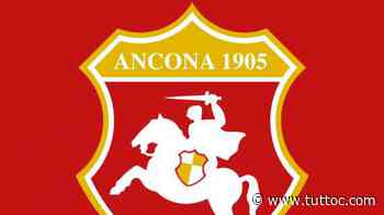 Ancona Matelica, Canil: "Progetto incentrato sul settore giovanile" - Tutto Lega Pro