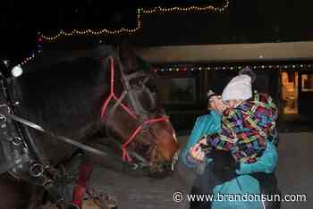 Holiday favourite returns to Austin - Brandon Sun