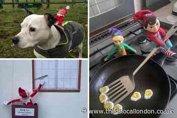 Elf on the Shelf in south east London this Christmas