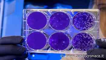 Covid, Piemonte: altri 4 morti (0 Cuneo), +33 ricoverati, +3756 positivi (576 provincia), +1223 guariti (172 Granda) - Cuneocronaca.it