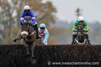 Pic D’orhy puts up smart effort for Nicholls and Cobden - NewsChain